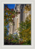 Salt Lake City Temple His Declaration