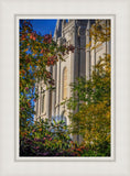 Salt Lake City Temple His Declaration