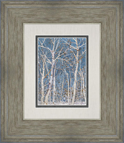 Woodland