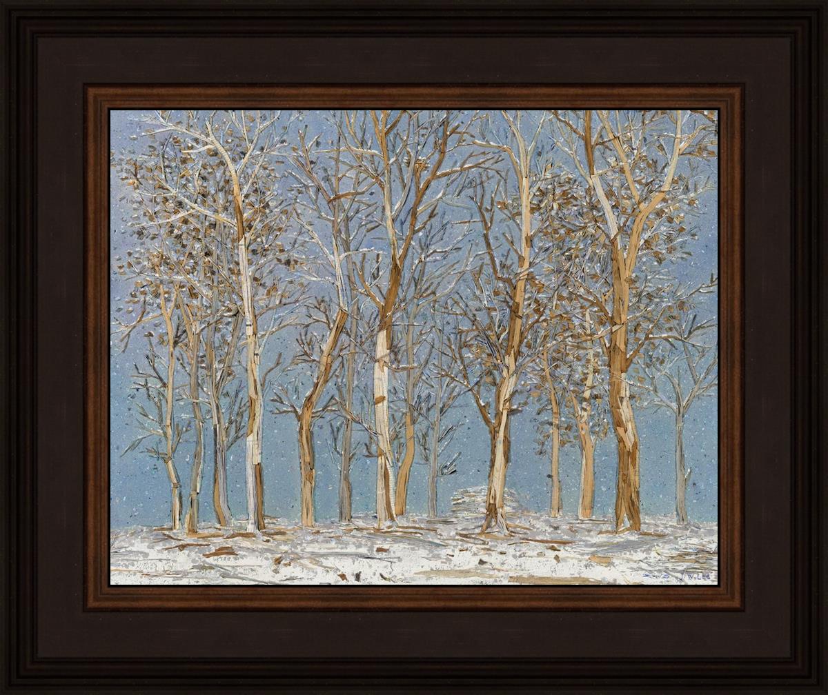 Winter Woods
