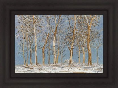 Winter Woods