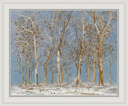 Winter Woods