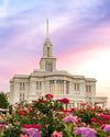 Payson Utah Tiptoe Through The Roses
