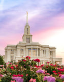 Payson Utah Tiptoe Through The Roses