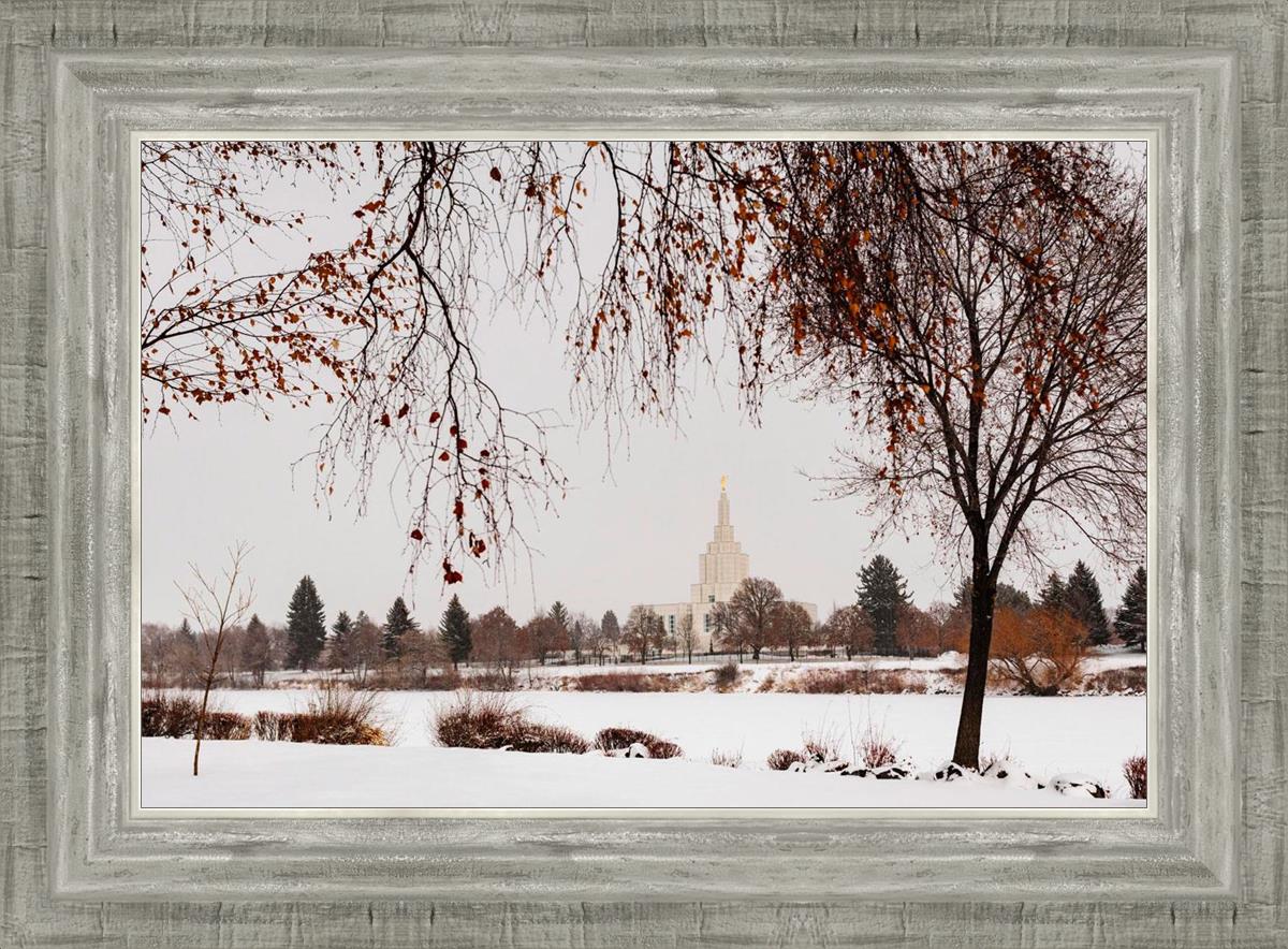 Fall After the Storm
