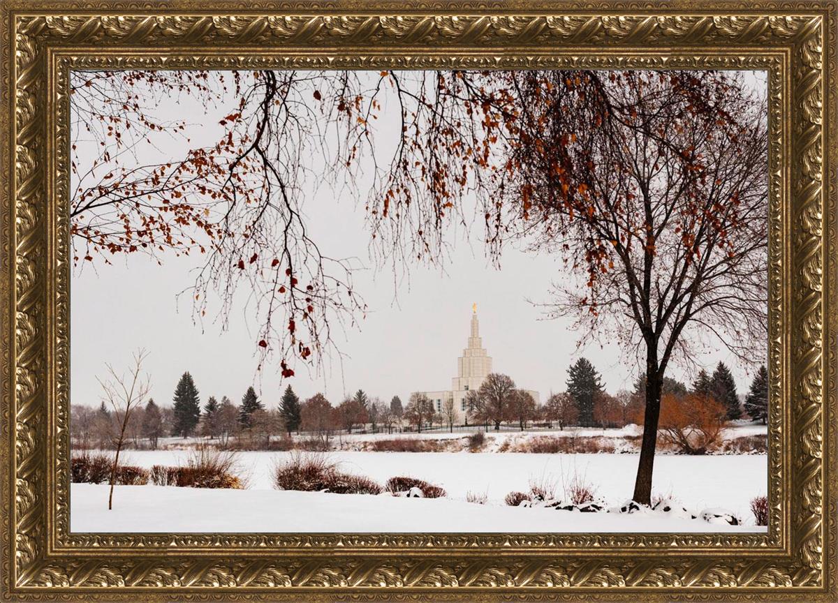 Fall After the Storm