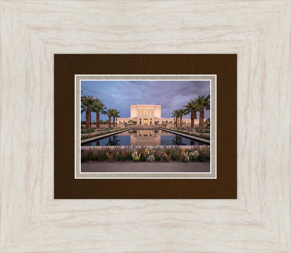 Mesa Arizona Summer Nights Dream