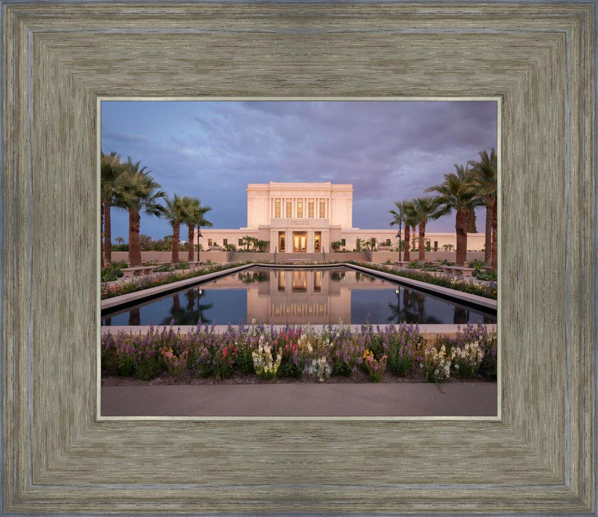 Mesa Arizona Summer Nights Dream
