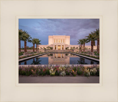 Mesa Arizona Summer Nights Dream