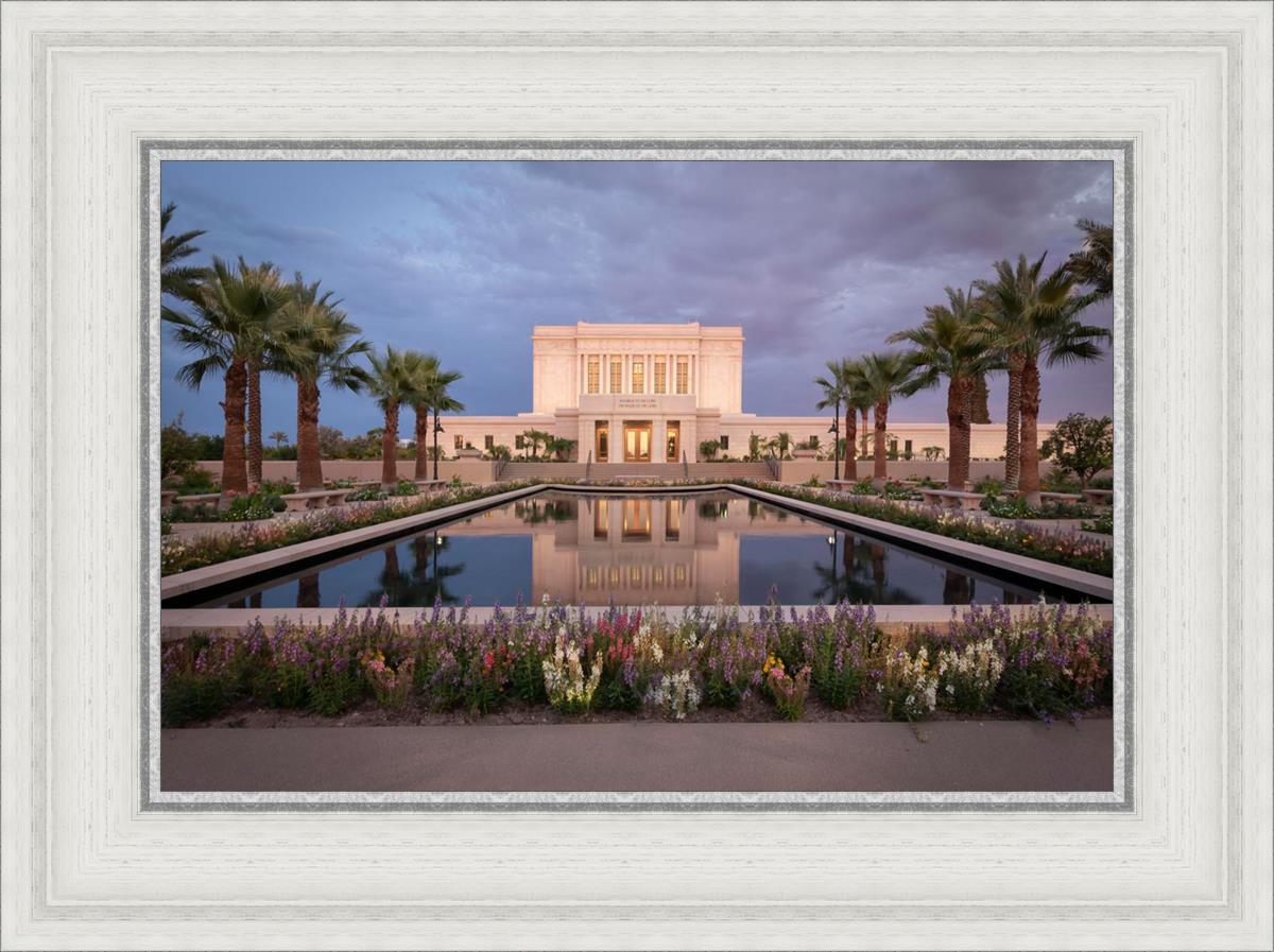 Mesa Arizona Summer Nights Dream
