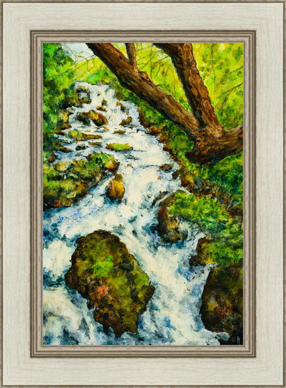 Summer Cascade