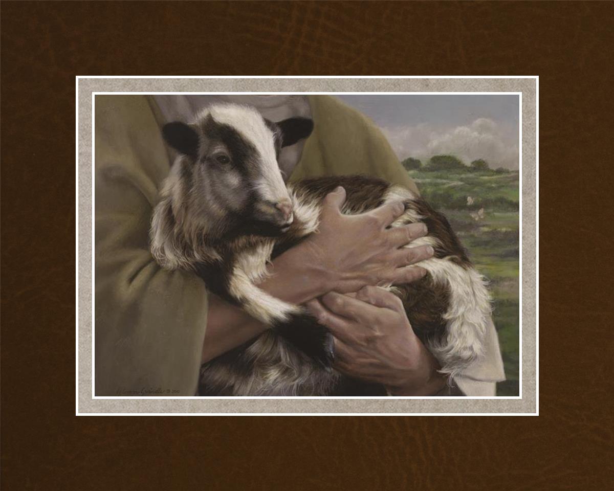 The Lost Sheep
