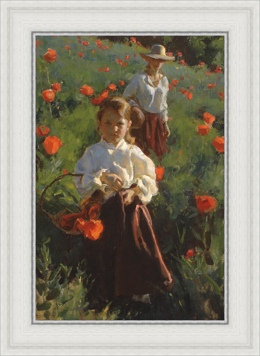 Poppies