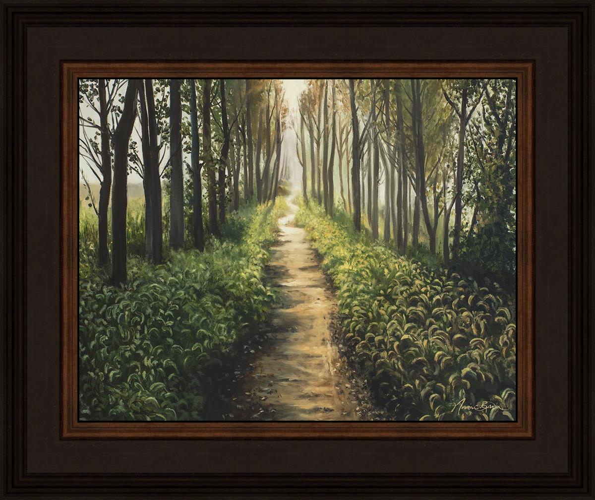 Enjoy The Beauty On Your Broken Path - Forest Walkway