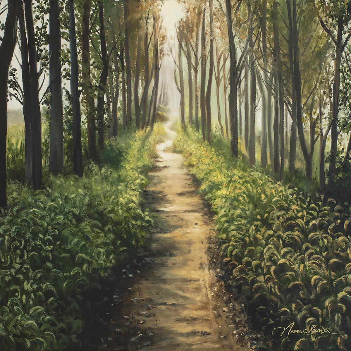 Enjoy The Beauty On Your Broken Path - Forest Walkway