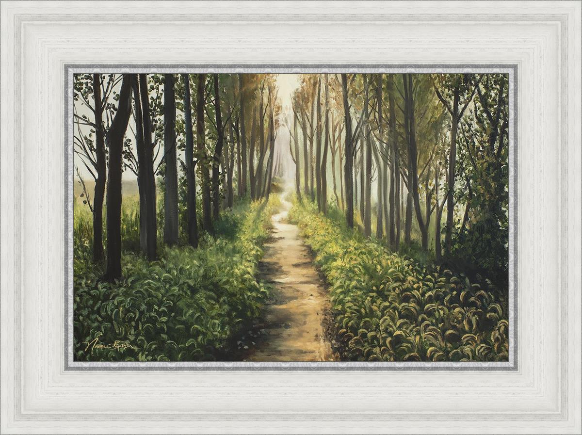 Enjoy The Beauty On Your Broken Path - Forest Walkway