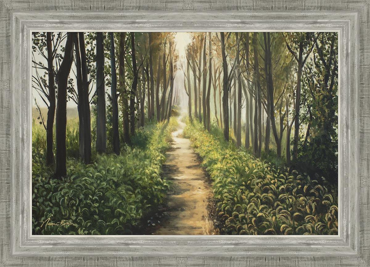 Enjoy The Beauty On Your Broken Path - Forest Walkway