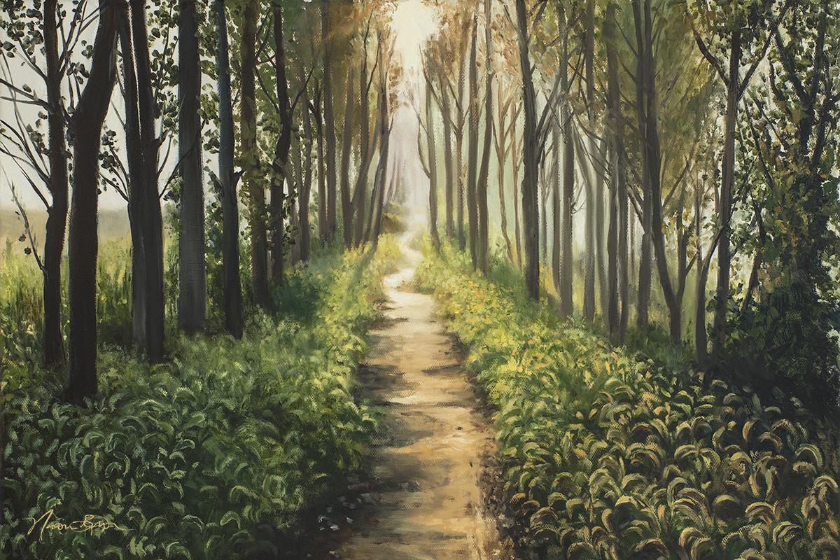 Enjoy The Beauty On Your Broken Path - Forest Walkway