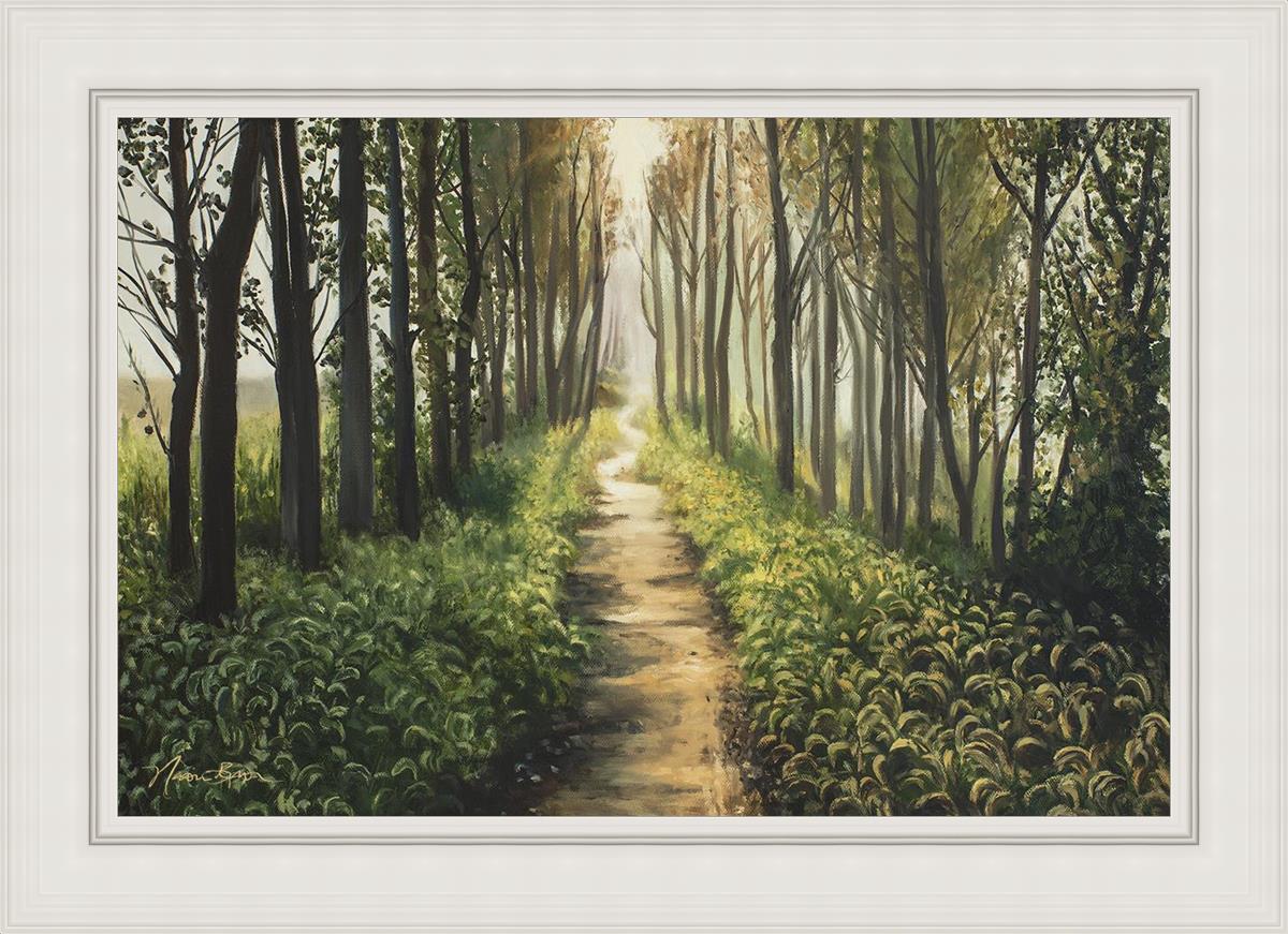 Enjoy The Beauty On Your Broken Path - Forest Walkway