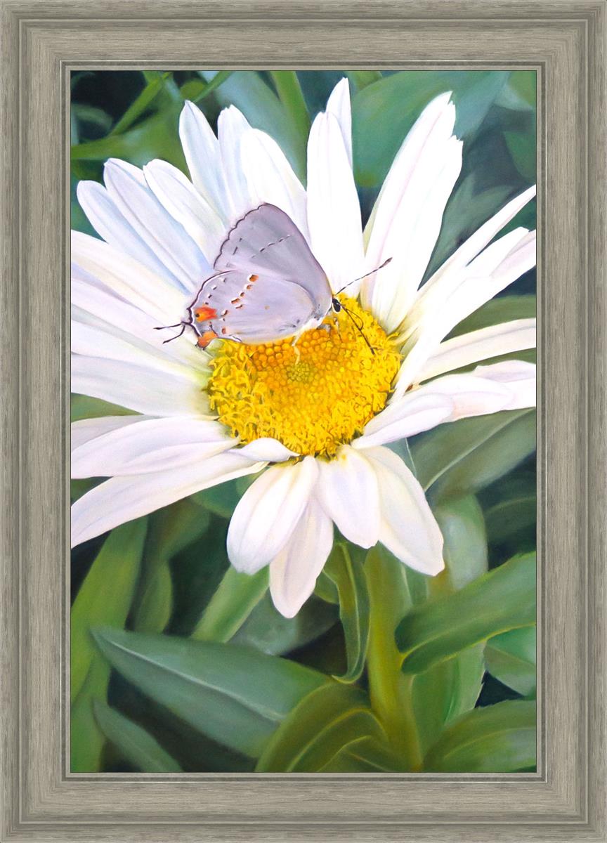 The Daisy and The Butterfly