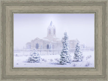 Fort Collins Shelter from the Storm