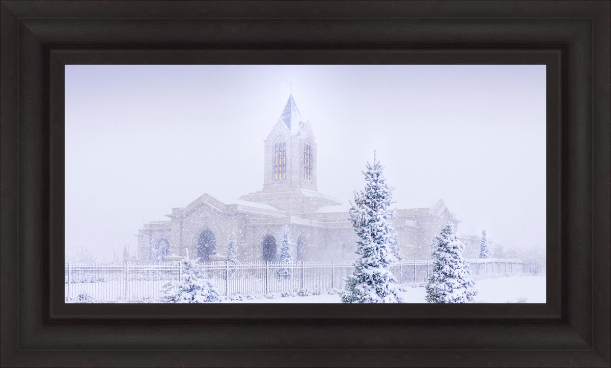 Fort Collins Shelter from the Storm