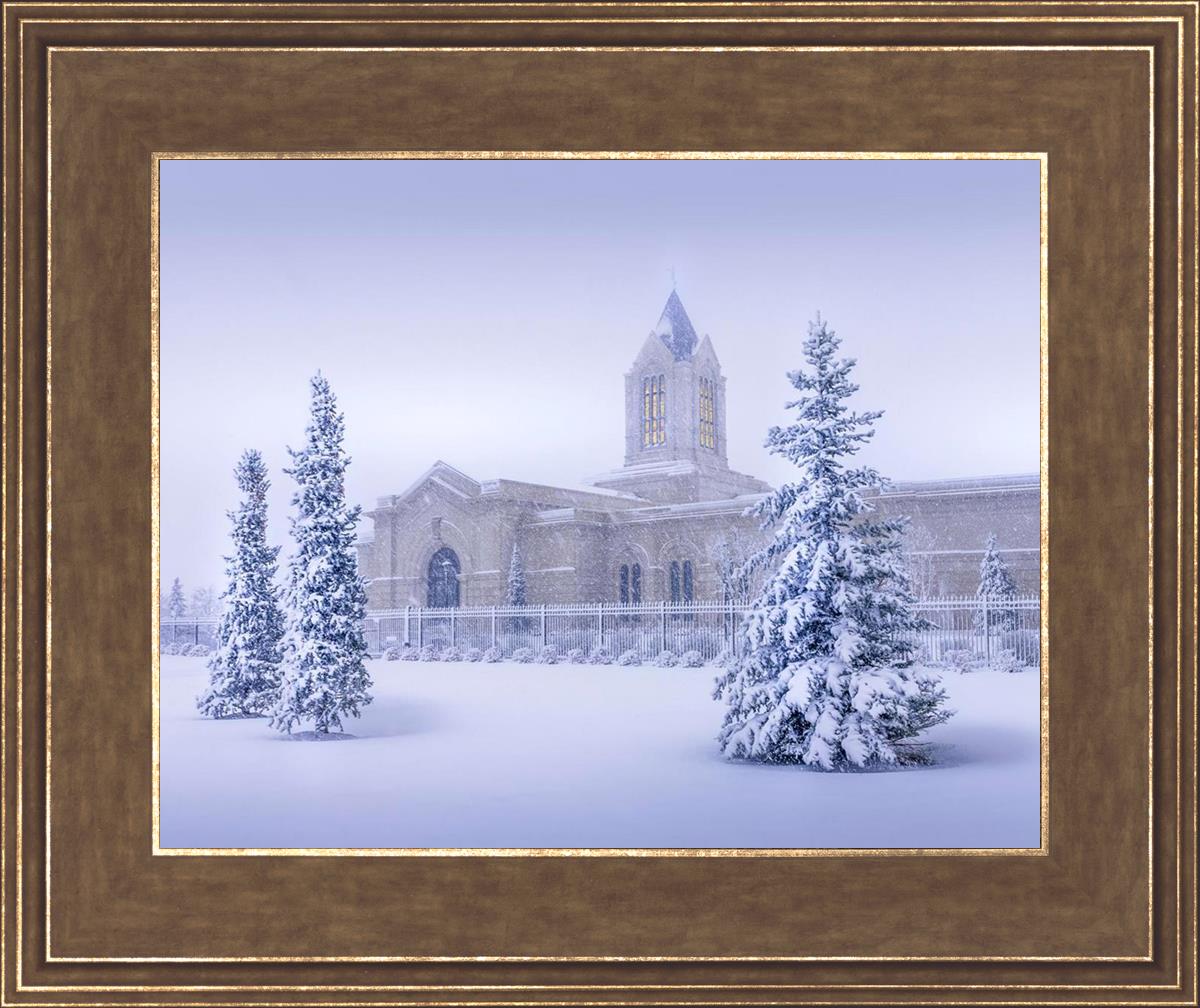 Fort Collins Storm Shelter