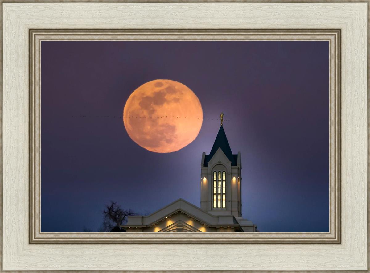 Fort Collins Night Flight