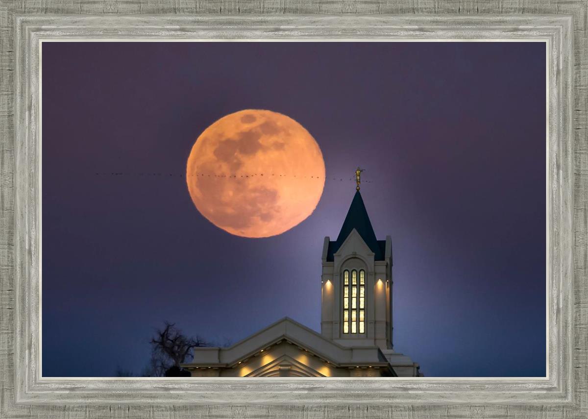 Fort Collins Night Flight