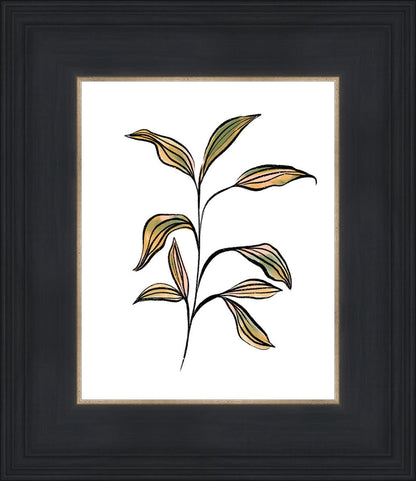 Seedling