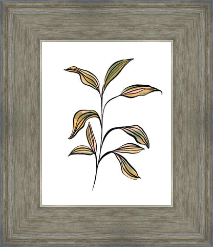 Seedling