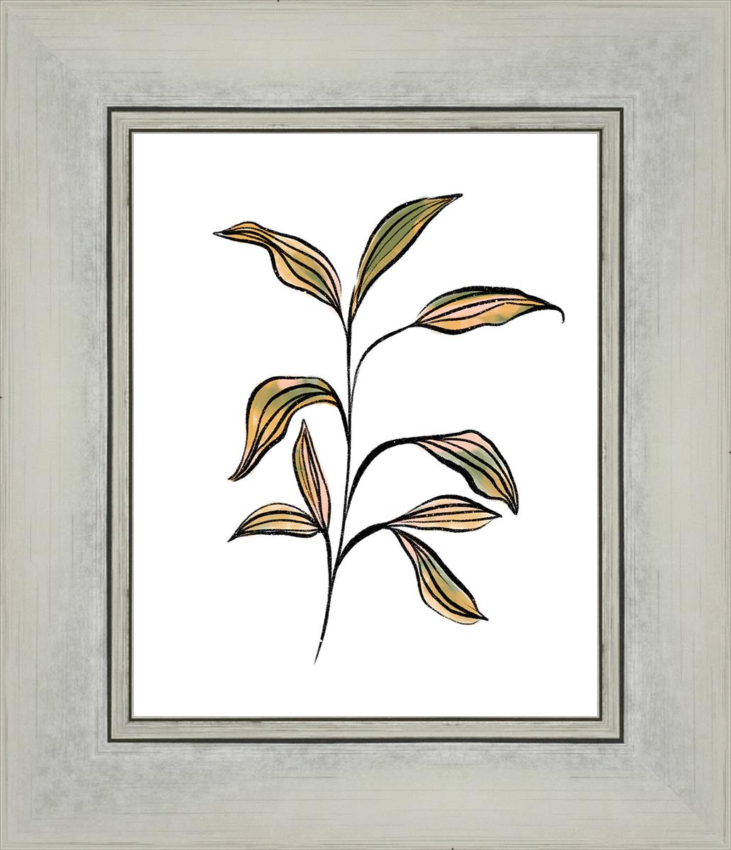 Seedling