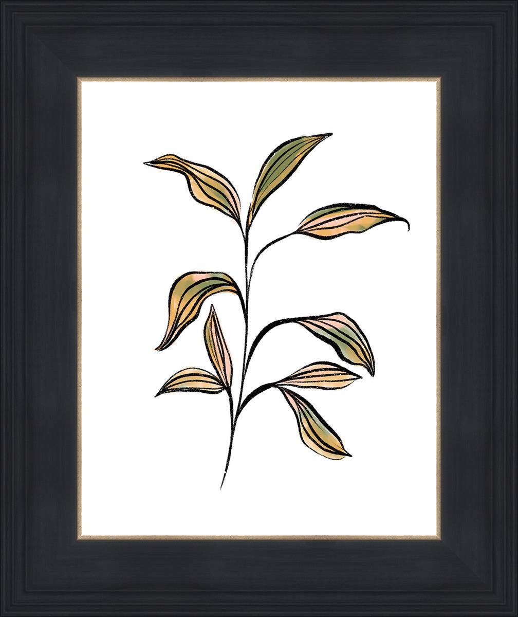 Seedling