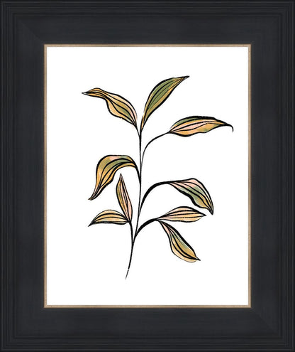 Seedling