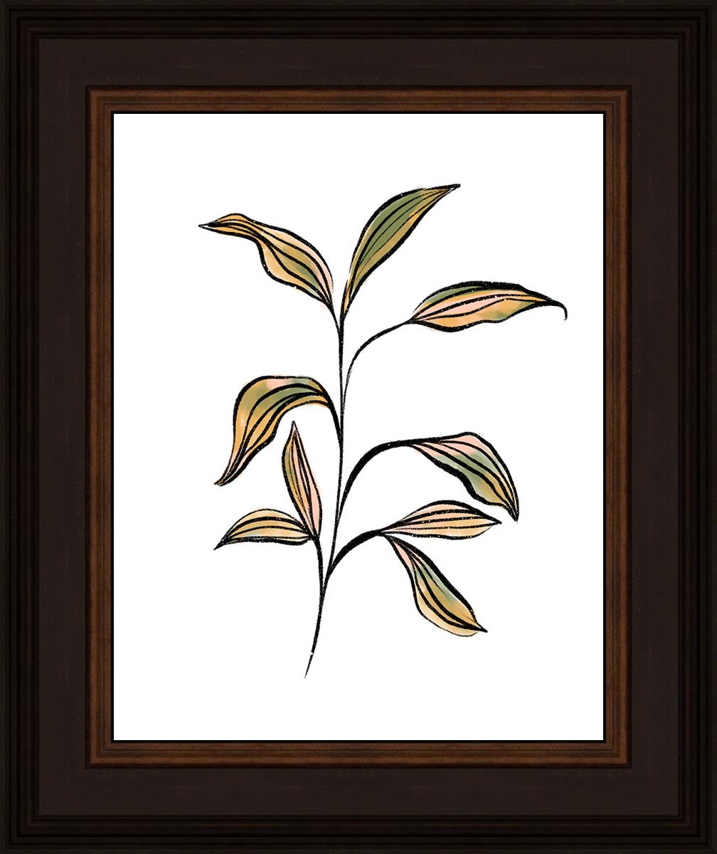 Seedling