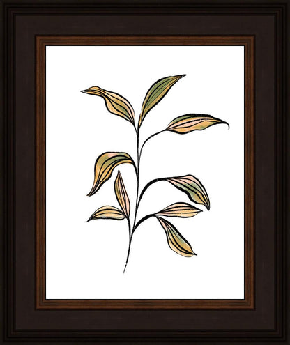 Seedling
