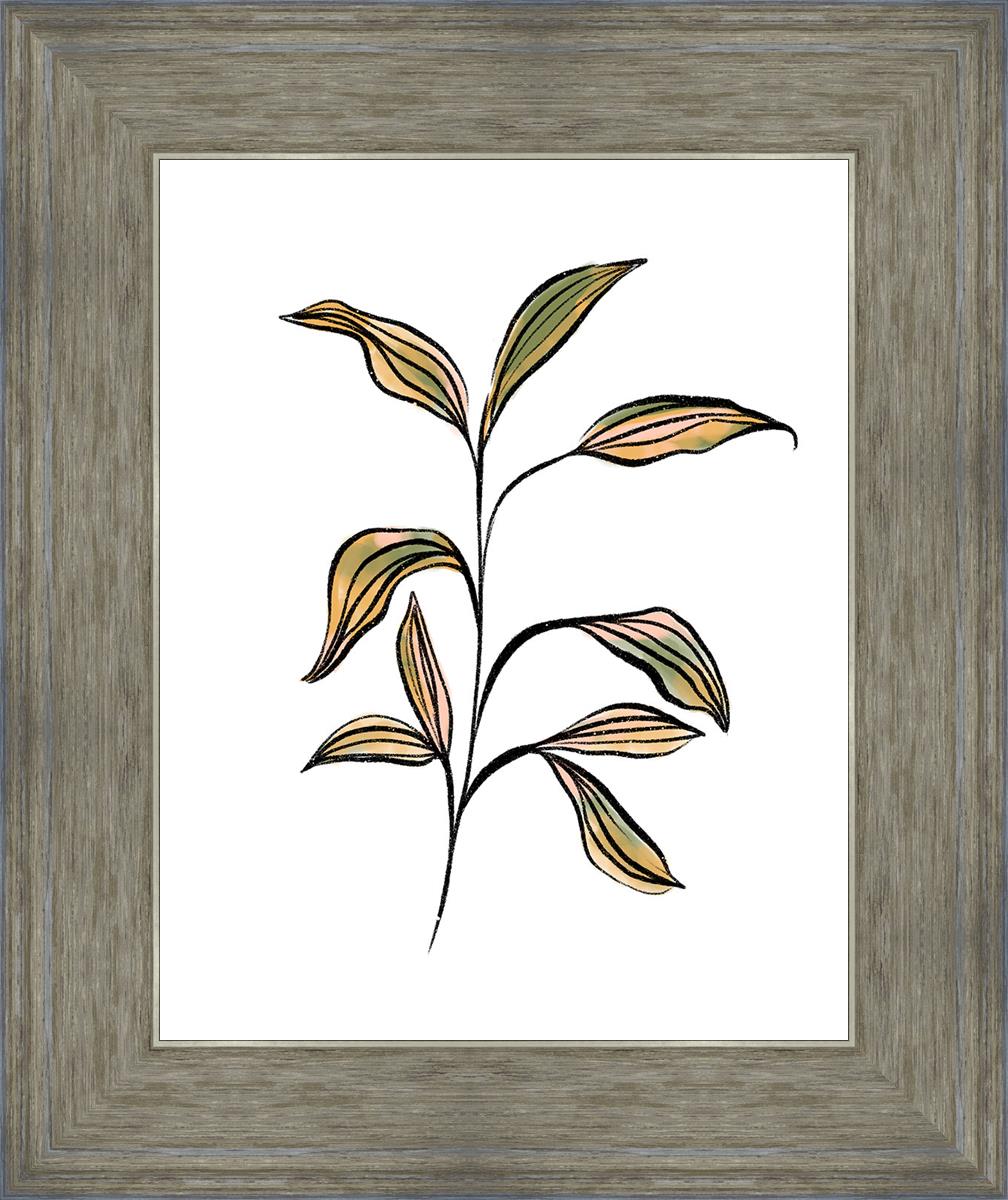 Seedling