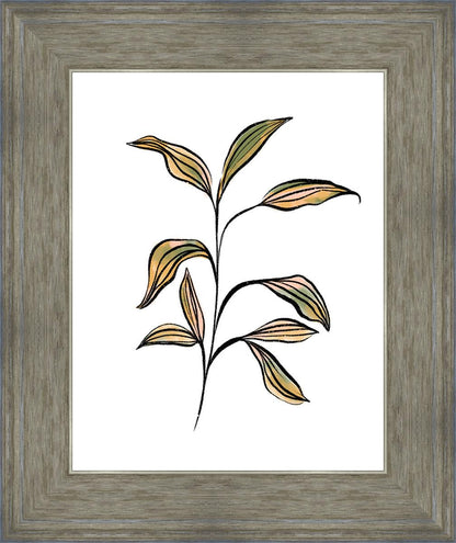 Seedling