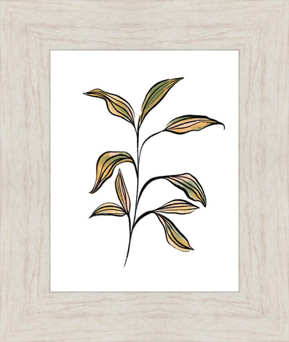 Seedling