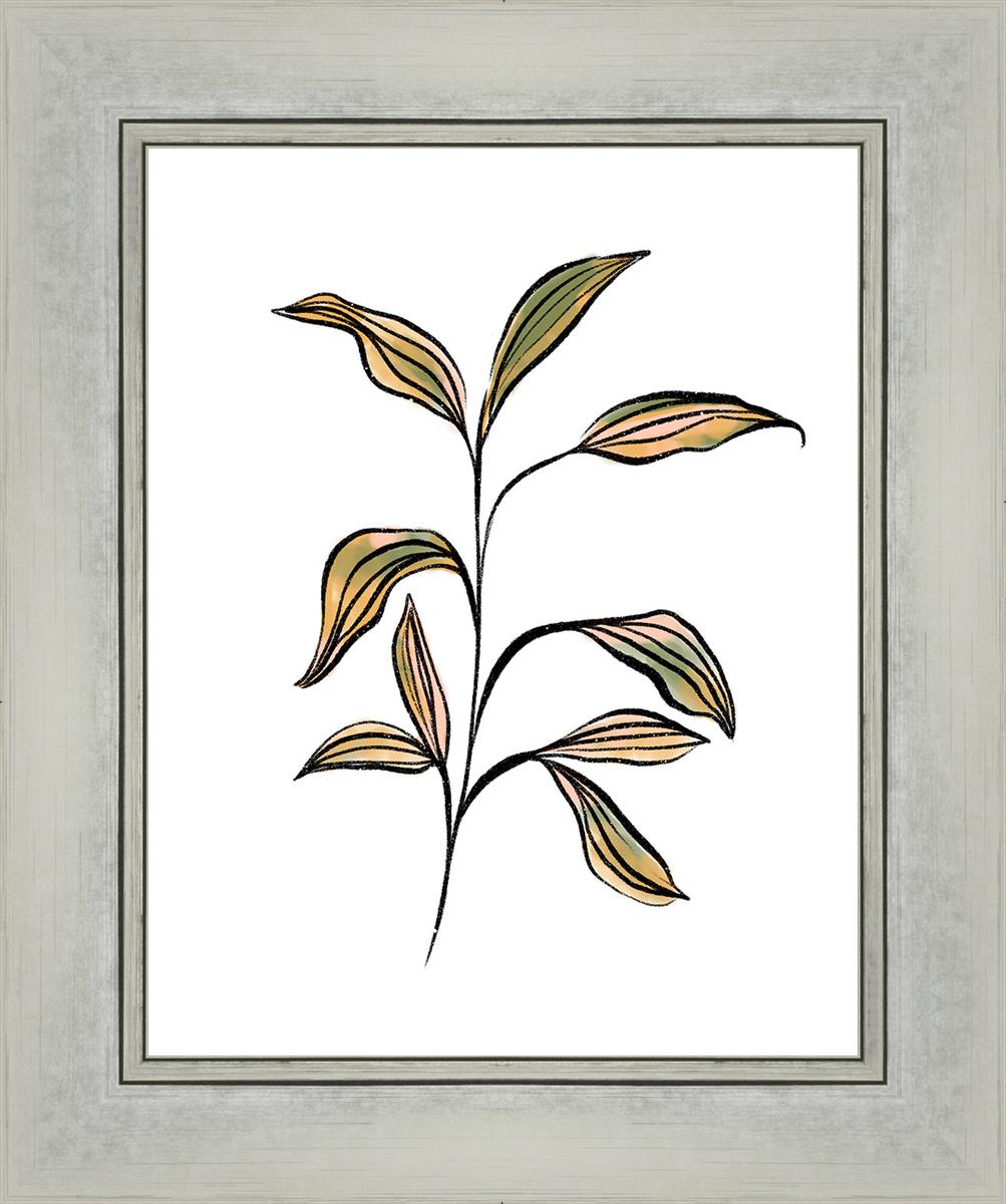 Seedling