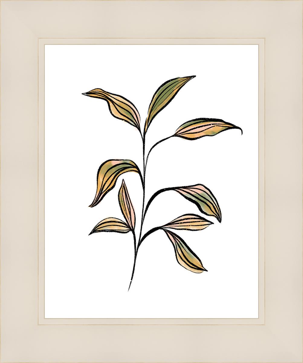 Seedling