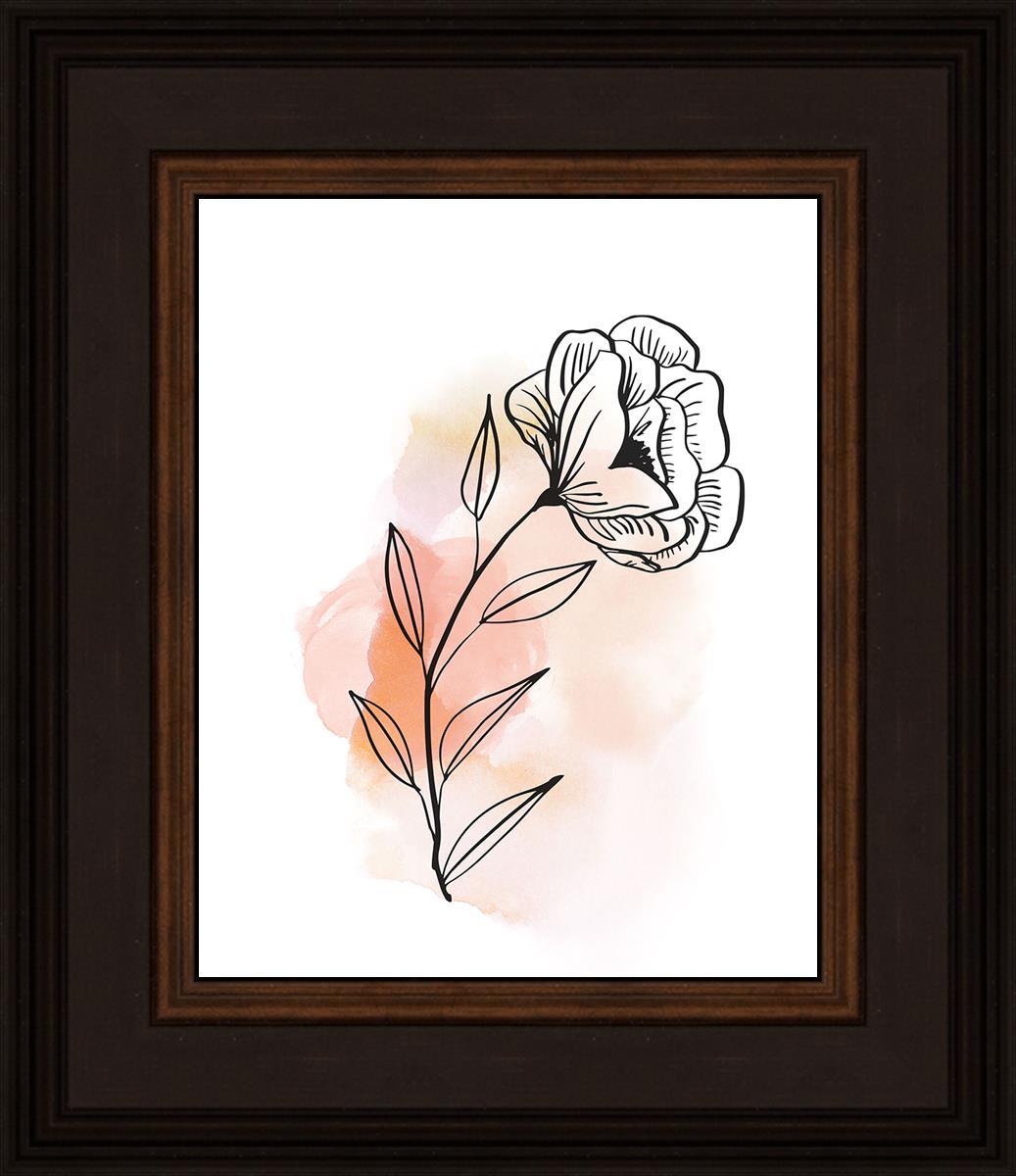 Prarie Rose