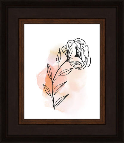 Prarie Rose