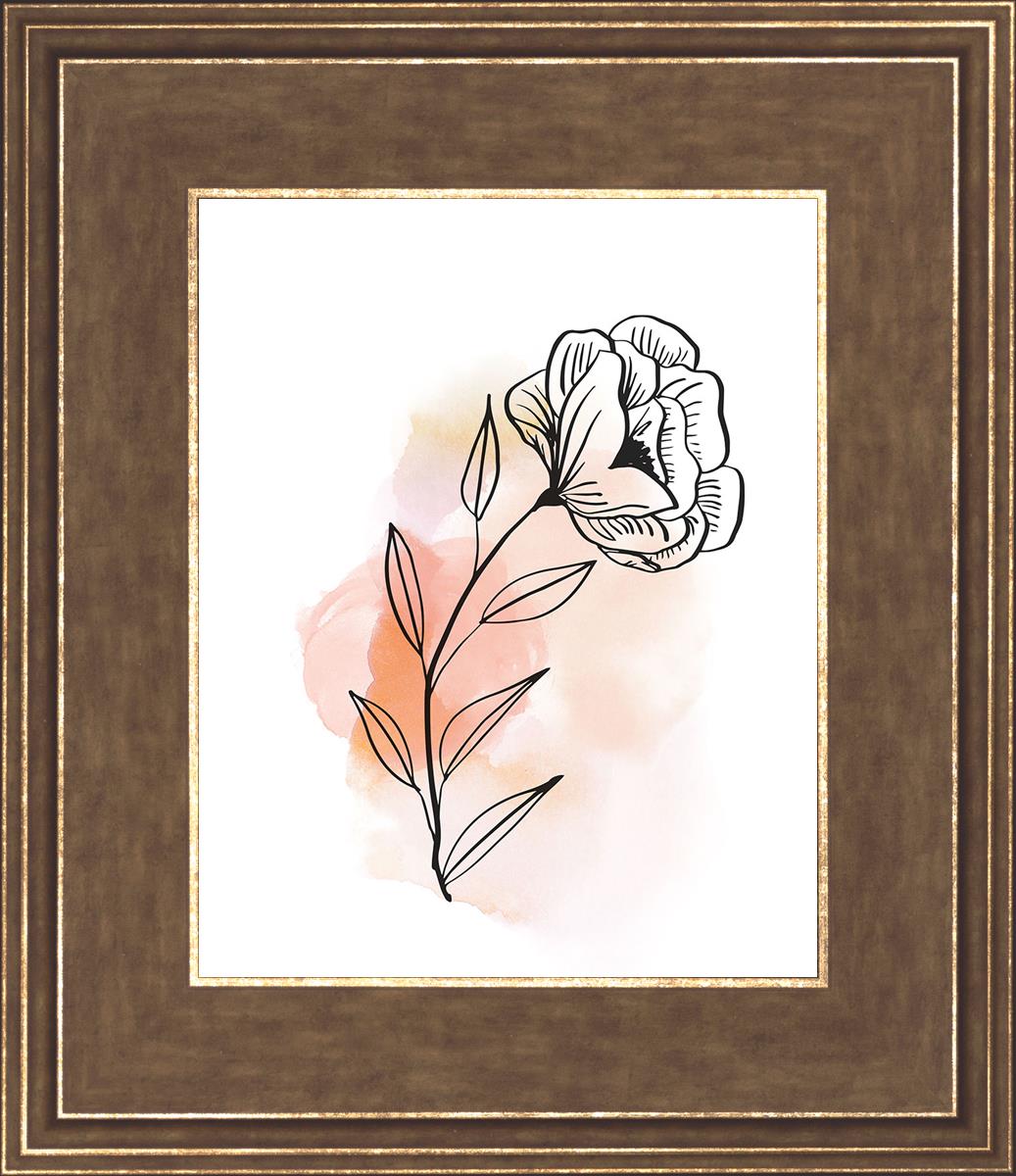 Prarie Rose