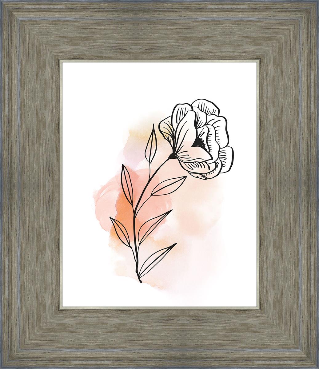 Prarie Rose