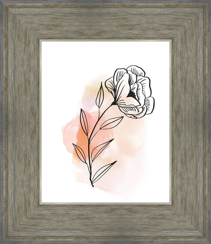 Prarie Rose