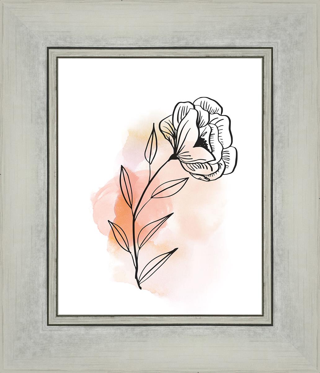 Prarie Rose
