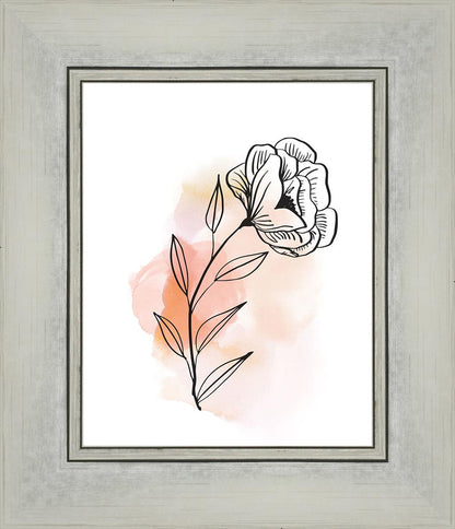 Prarie Rose