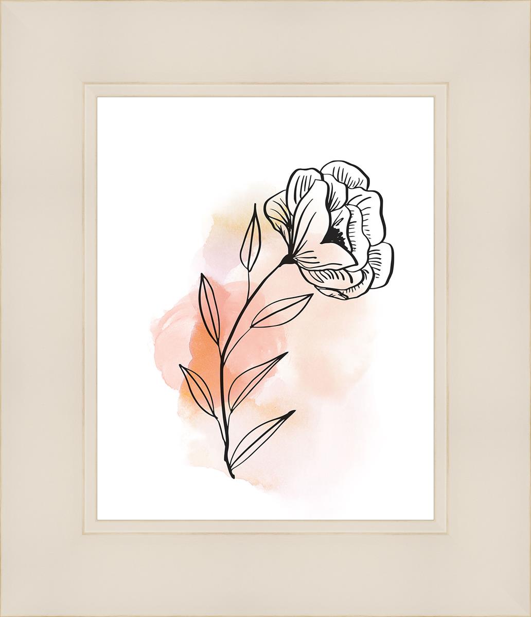 Prarie Rose