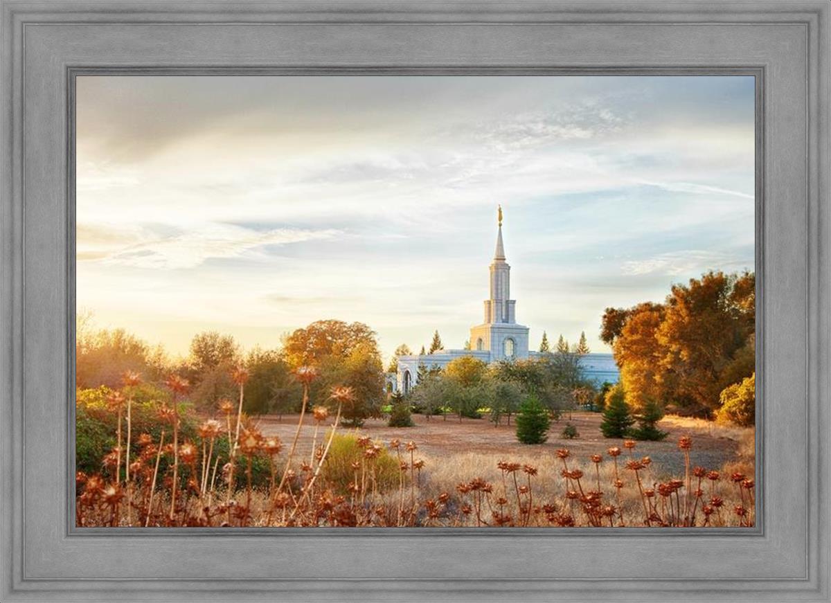 Sacramento 07
